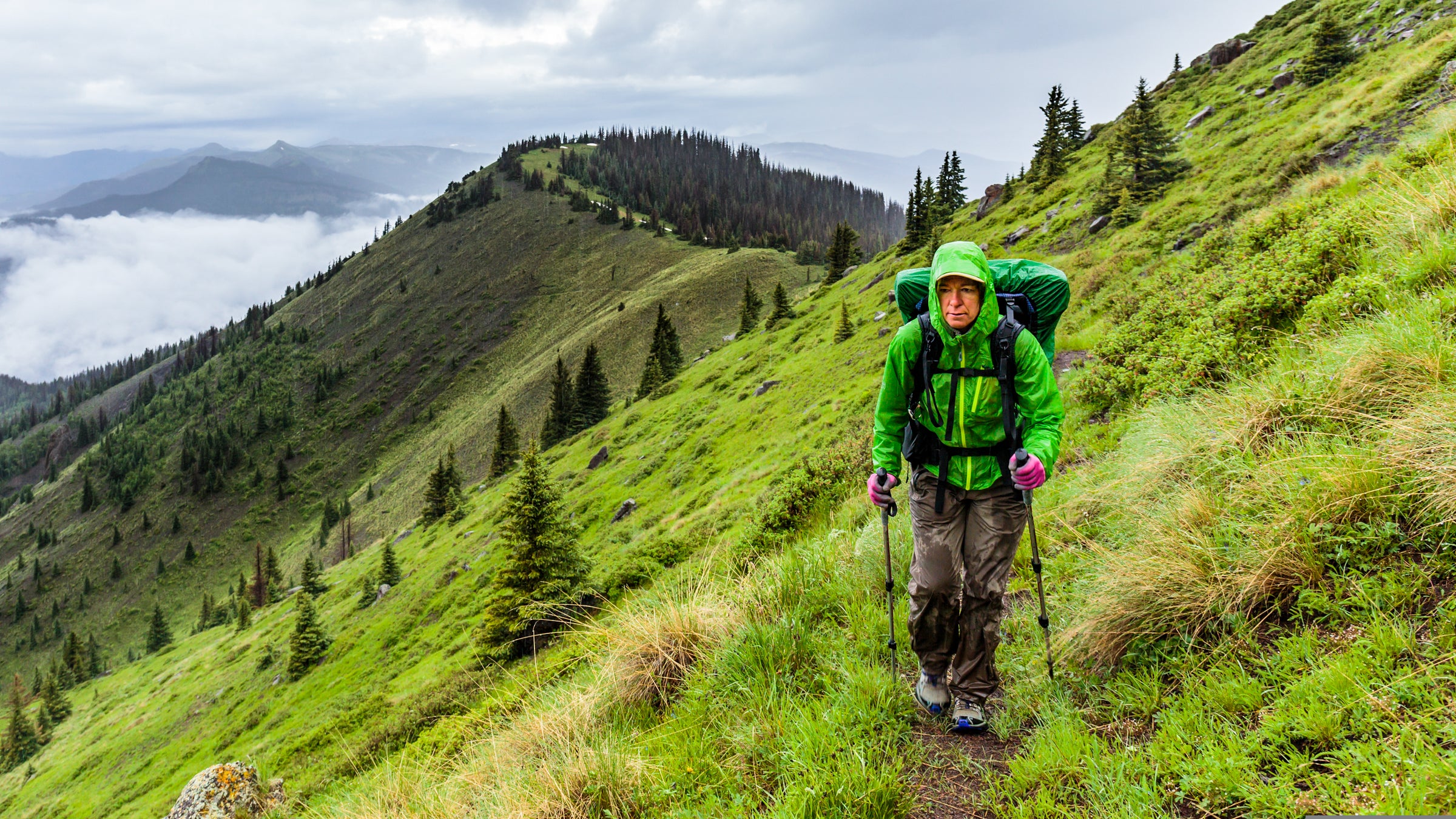 Section Backpacking on the Continental Divide Trail, South San Juan Wilderness, Cumbres to Wolf Creek Pass, Colorado