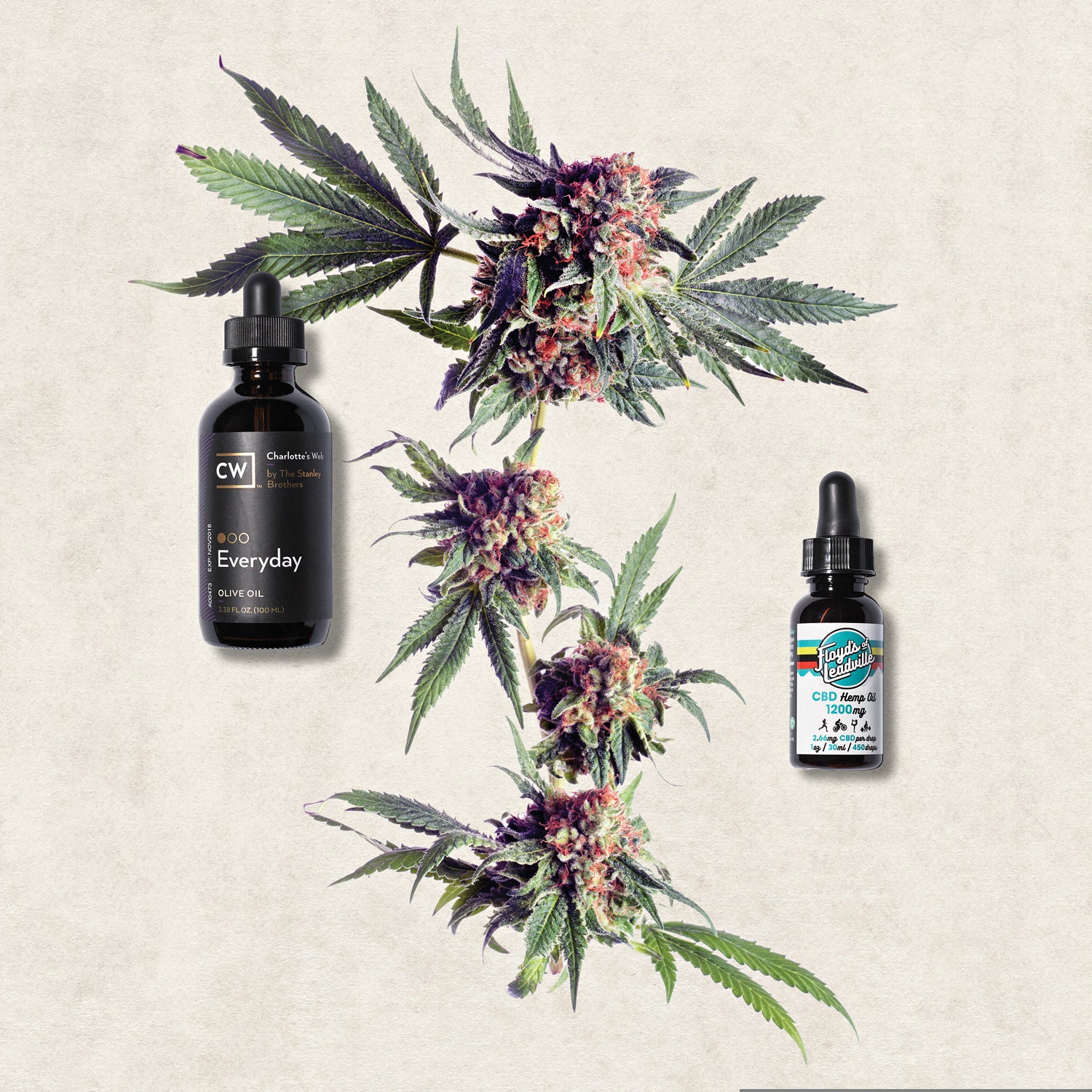 Cannabidiol extracts from cannabis are quickly nudging ibuprofen from the pain-relief limelight.