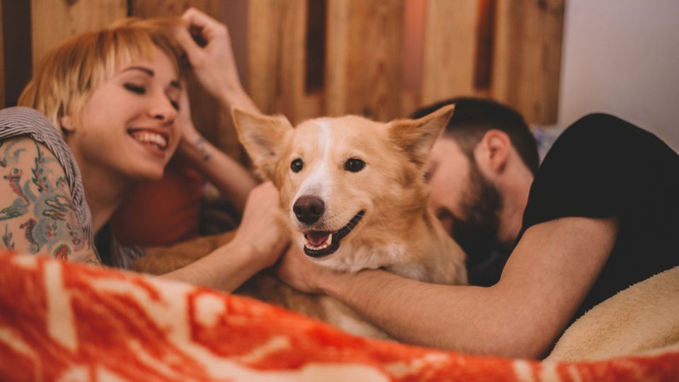 When Your Dog Cramps Your, Ahem, Bedroom Activities Outside Online