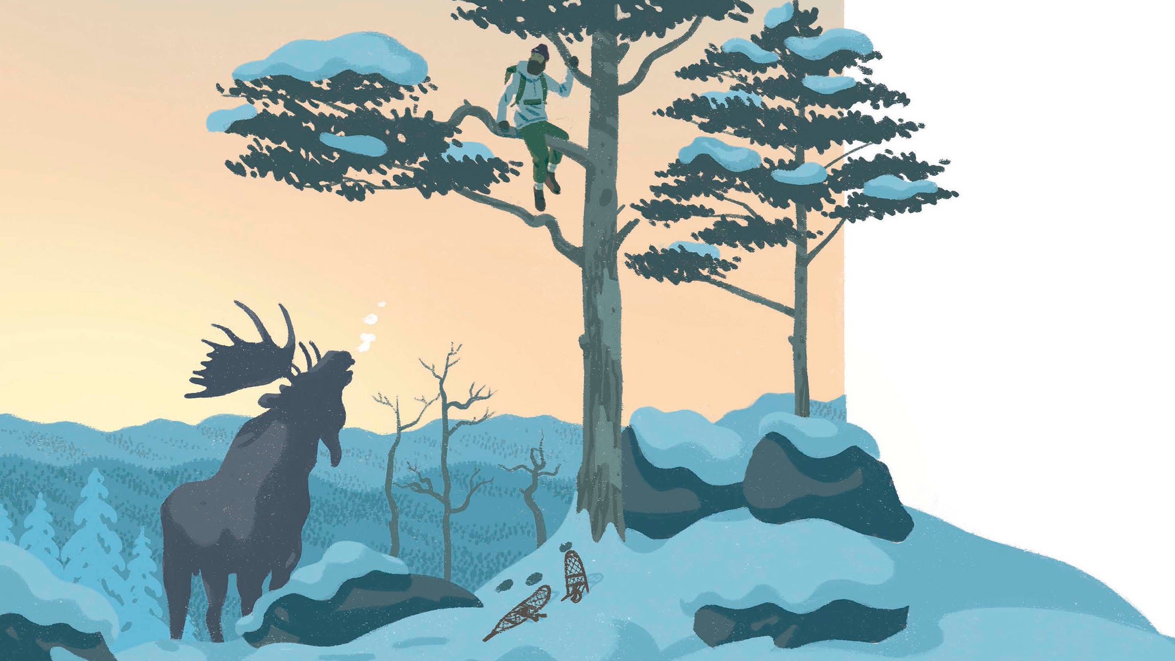 I've only ever seen moose from a safe distance, but I know enough about them to know that I don't want to see them any closer. 