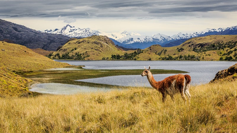 Around the world, including right here in the U.S., governments are designating a host of new national parks.