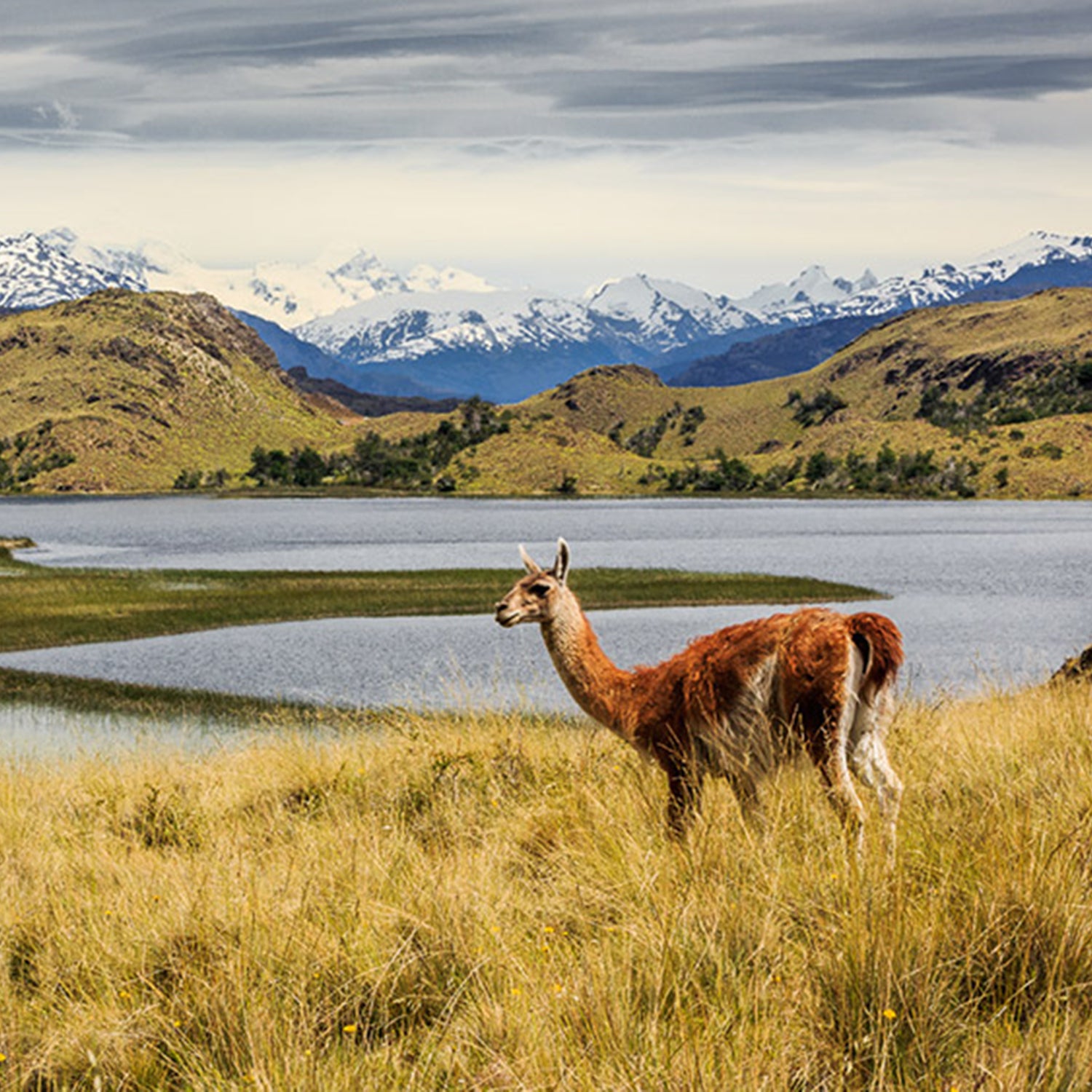 Around the world, including right here in the U.S., governments are designating a host of new national parks.