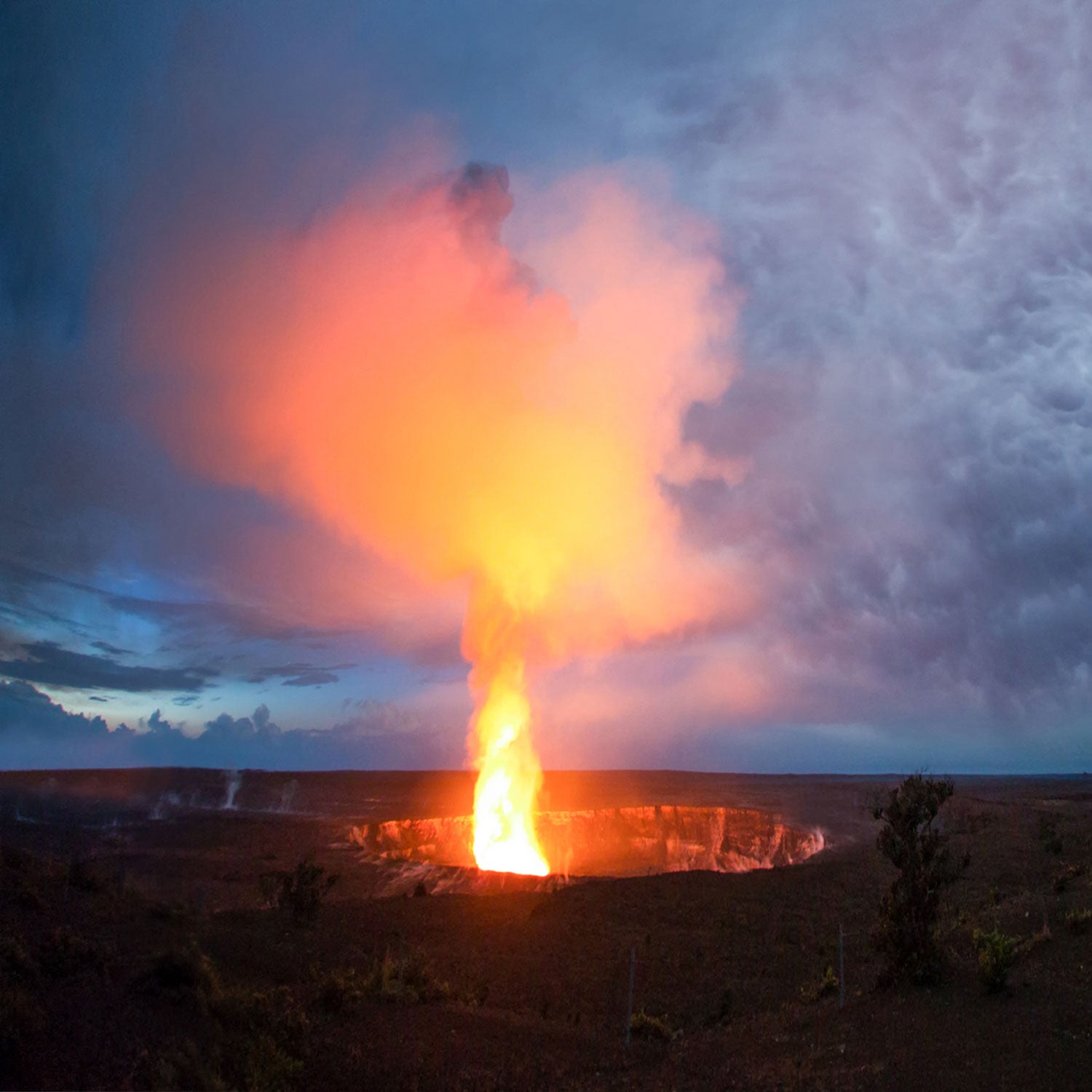 Here’s the good news: You don’t need to cancel your upcoming vacation to the Aloha State.