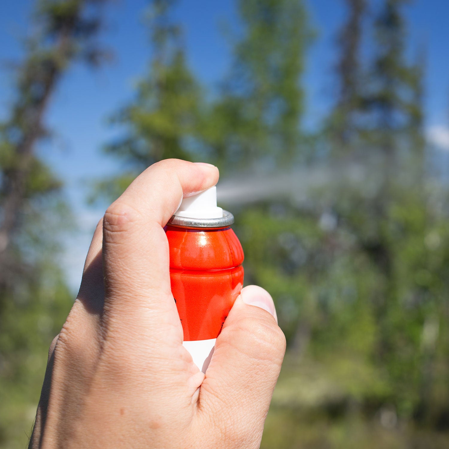 There’s one thing DEET is likely bad for (in addition to creepy crawlies): Your outerwear.