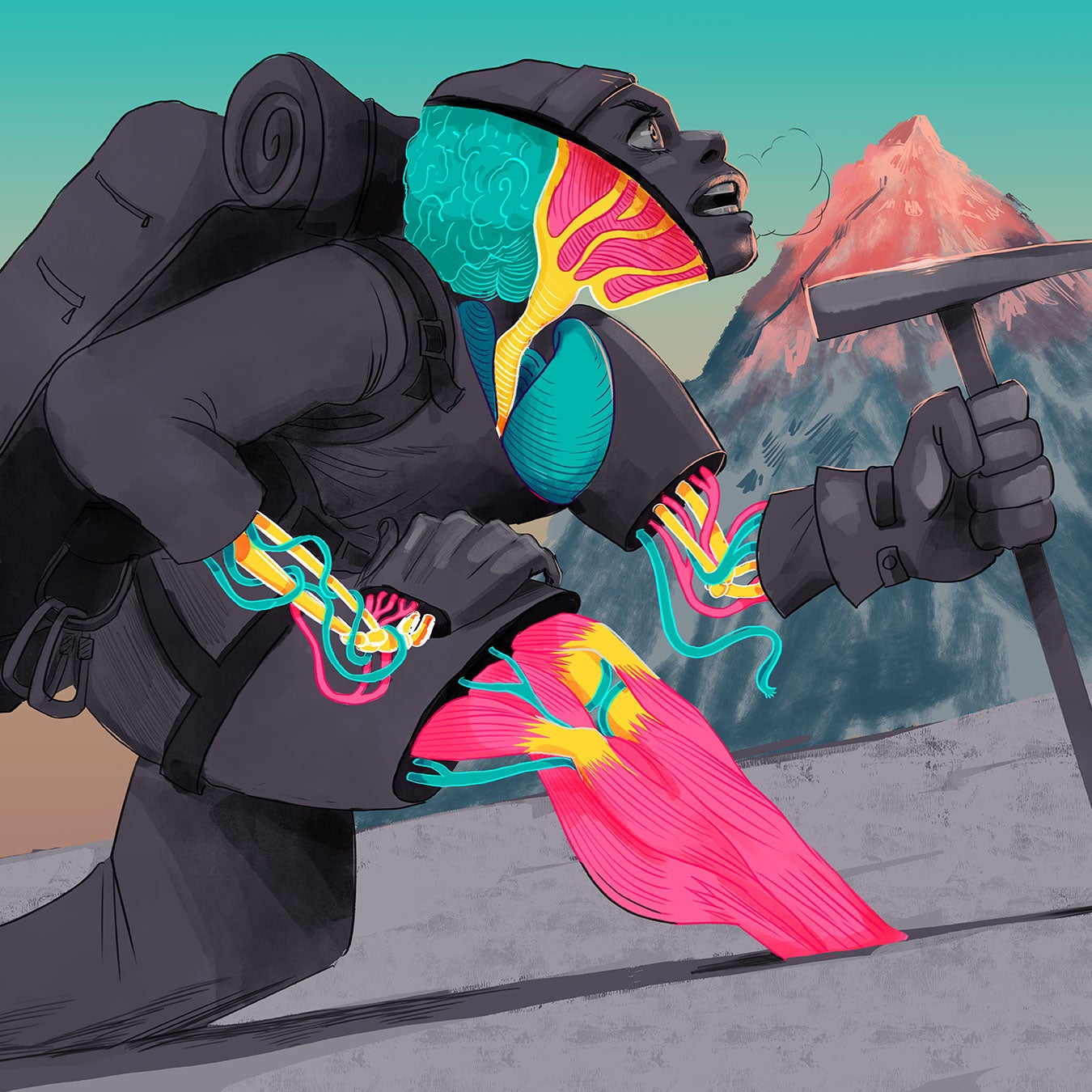 Your body on Everest is working overtime.