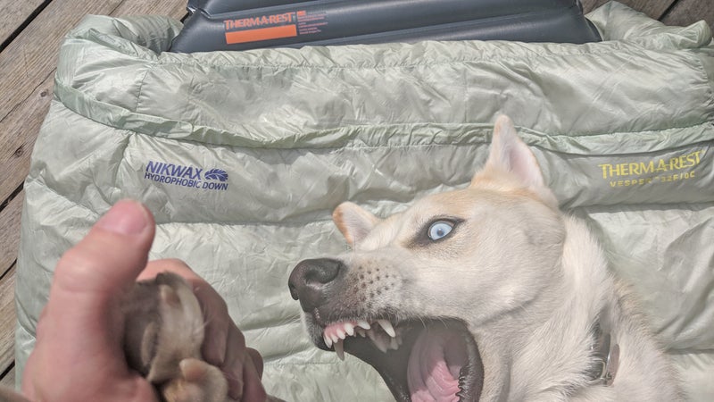 Half-wild puppies are the most serious threat that exists to inflatable pads, but the UberLite stood up to being walked on, laid on, and wrestled on by this monster.