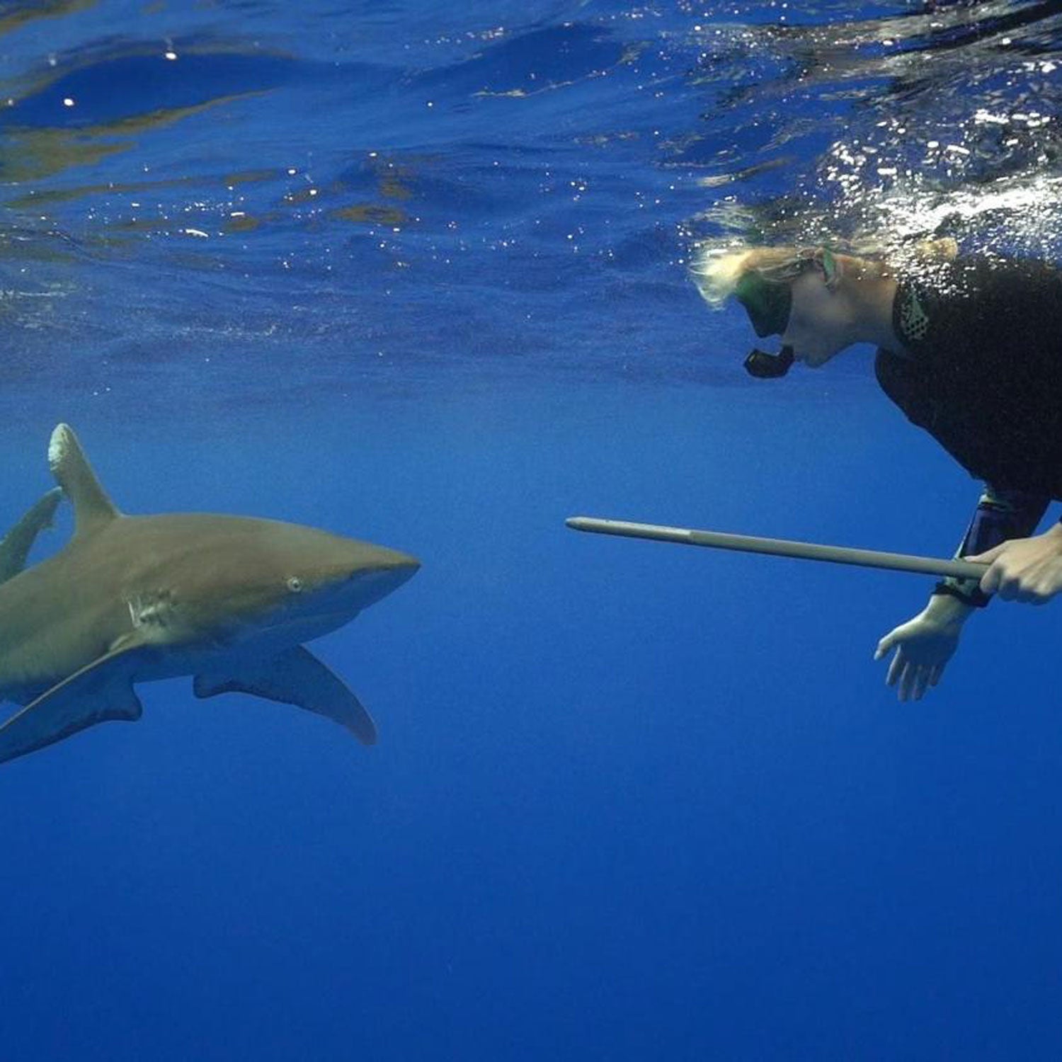 Lindsey Vonn swims with a shark while filming the Shark Week show 'Monster Tag.'