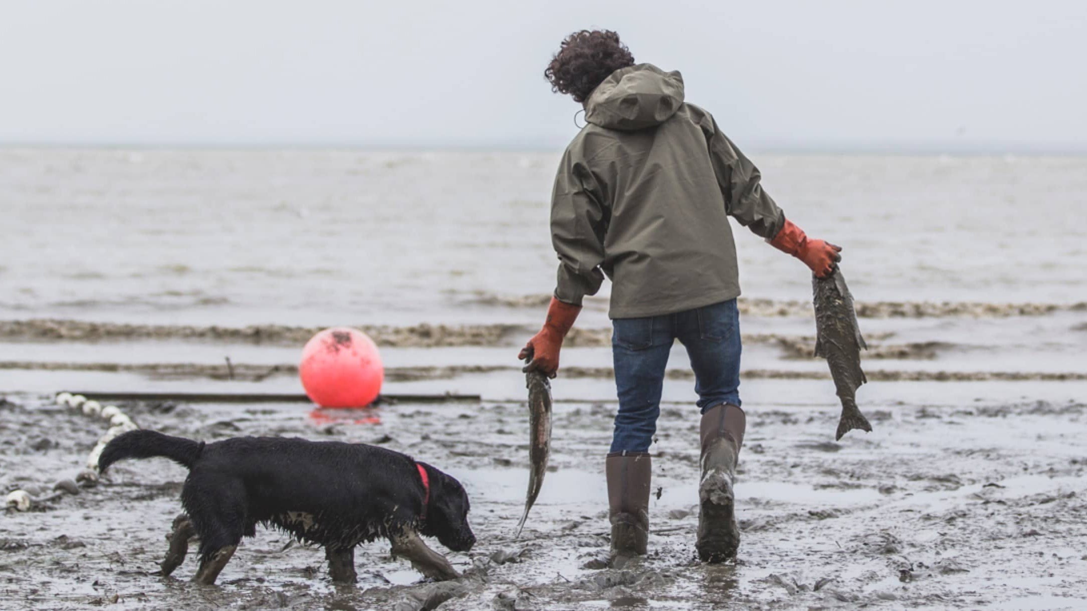 Simple looks, peerless function. 