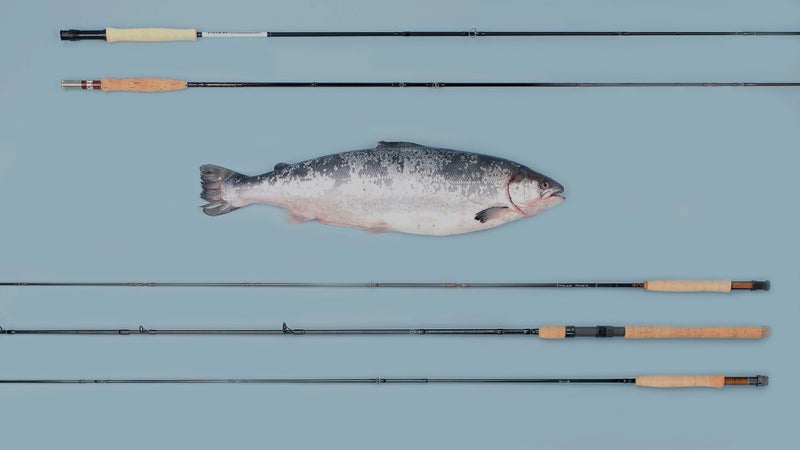 (From top to bottom) Orvis Helios 3D, Tom Morgan Rodsmiths Graphite, Scott G Series, Shimano Clarus, G. Loomis Asquith.