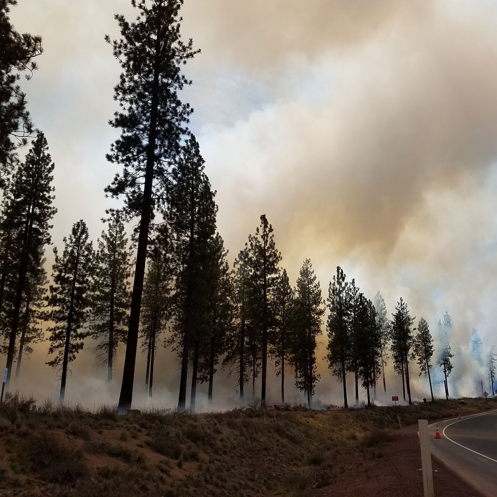 Thinking of going for a run? Check your air quality first.