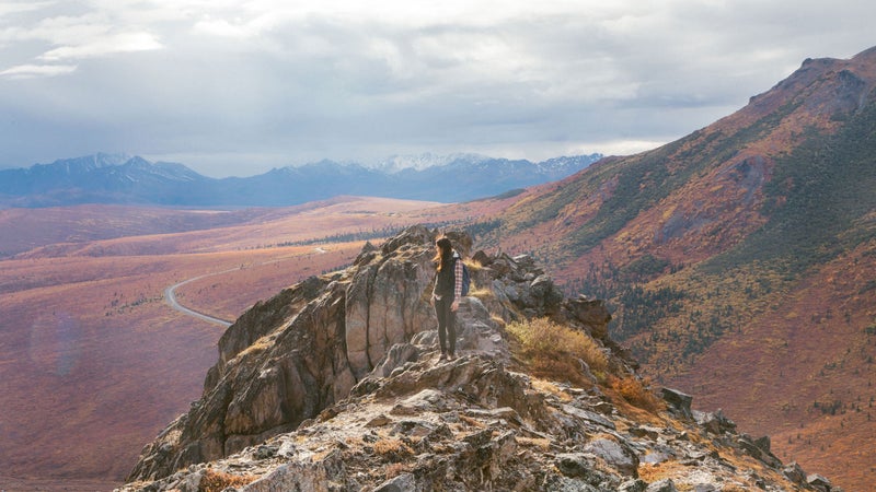 Denali National Park