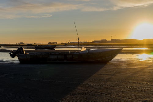 Boats at sunset.