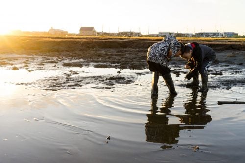 Elementary-aged Brent Iyatunguk and Elmer Olanna scour the inland beach for minnows.