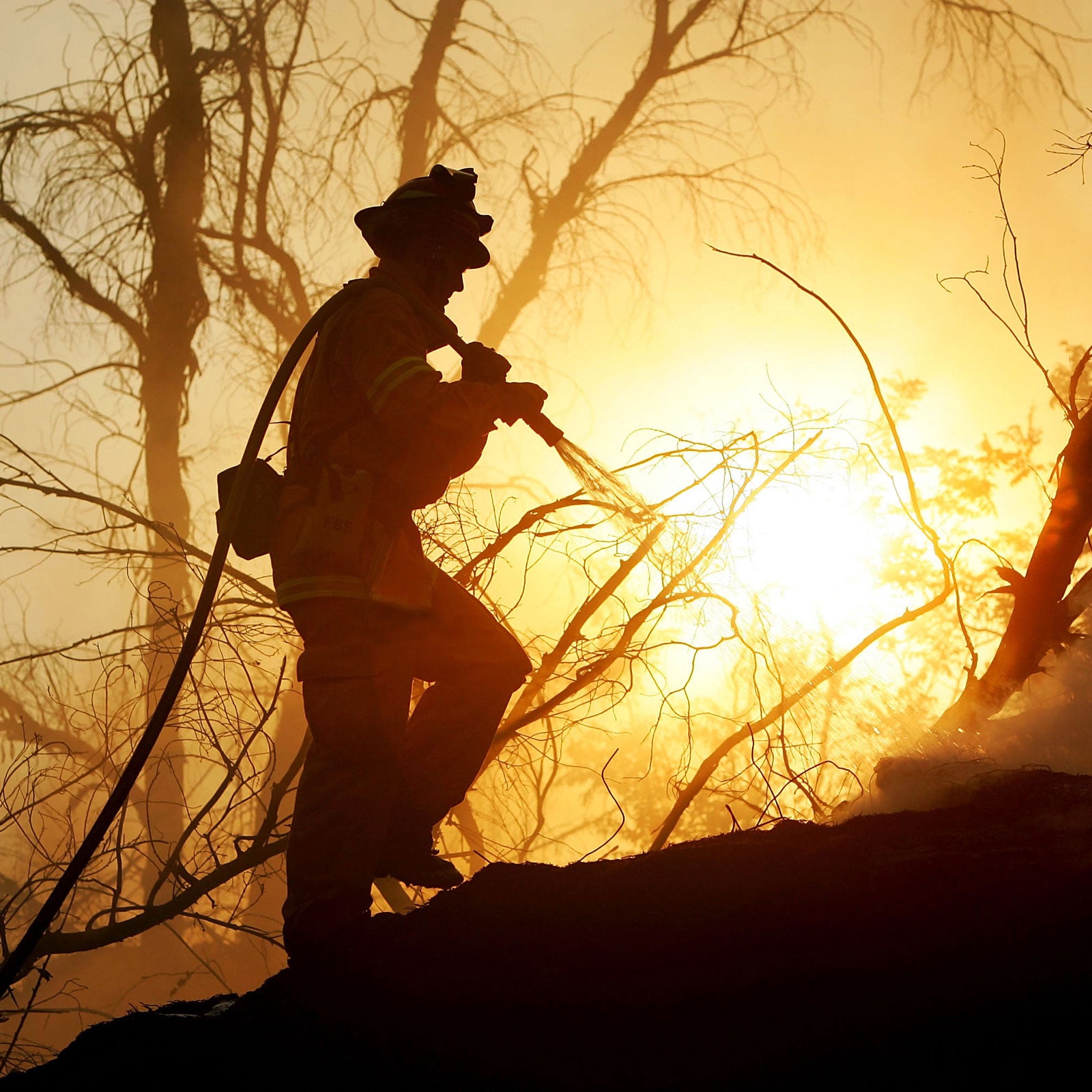 Bequi Livingston was a wildland firefighter for over 40 years. This is how she stayed fit.