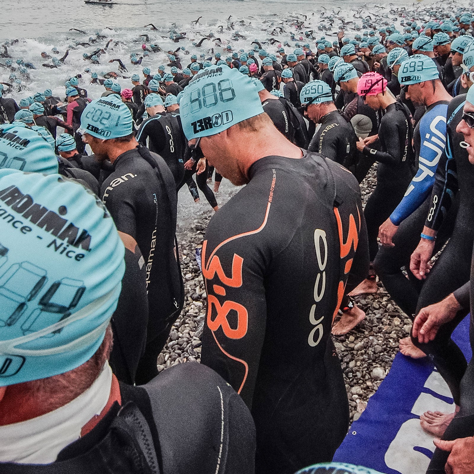 Triathletes and Trinidadian guppies have a lot more in common than you think.