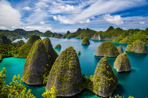 The strategy has worked before. In 2014, a similar campaign from Heinrichs and Weller around the Raja Ampat archipelago (pictured above)—a chain of islands off Papua’s west coast that in 2012 became Southeast Asia’s first shark and ray sanctuary—inspired the then-governor Abraham Ataruri to extend environmental protections to the entire province, laying the groundwork for the current conservation province legislation.