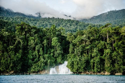 The effort to make West Papua a conservation province is largely an attempt to extend the current conservation program to encompass the whole region, in particular its vast rain and mangrove forests. It comes at a critical point: Indonesian president Joko Widodo has announced a commitment to grow West Papua’s economy through rapid infrastructure development that will better utilize the region’s potential for mining, logging, and fishing. If the conservation province passes, however, the development paradigm would shift to one of sustainability. While not yet in its final form, the law would ensure that companies adhere to strict practices that wouldn’t cause any long-term environmental damage, while setting aside specific areas as entirely protected zones.
