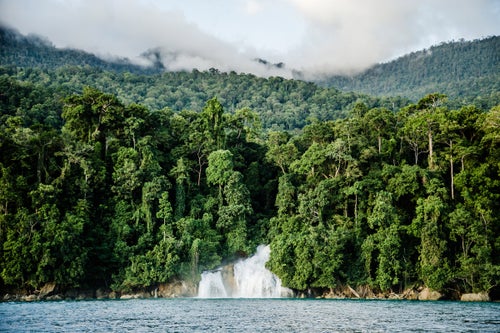 The effort to make West Papua a conservation province is largely an attempt to extend the current conservation program to encompass the whole region, in particular its vast rain and mangrove forests. It comes at a critical point: Indonesian president Joko Widodo has announced a commitment to grow West Papua’s economy through rapid infrastructure development that will better utilize the region’s potential for mining, logging, and fishing. If the conservation province passes, however, the development paradigm would shift to one of sustainability. While not yet in its final form, the law would ensure that companies adhere to strict practices that wouldn’t cause any long-term environmental damage, while setting aside specific areas as entirely protected zones.