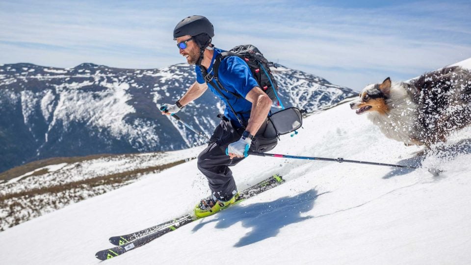 How to Go Skiing with Your Dog Outside Online