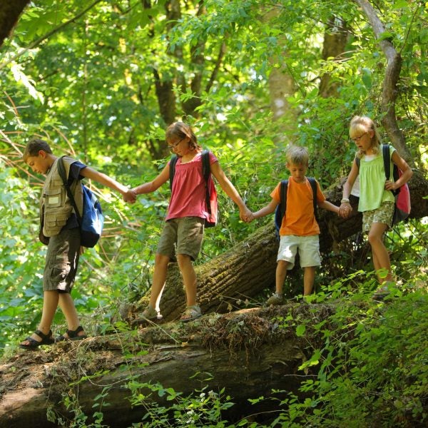 “Family and community support are essential for any child’s healthy development, and children who are gender-diverse are no different.”