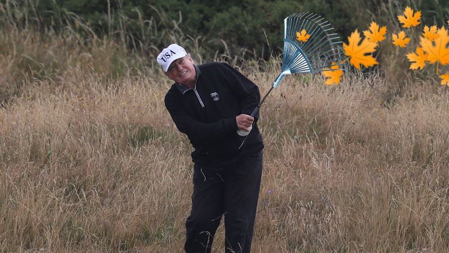 The social media burns have almost been as epic as the real fires. 