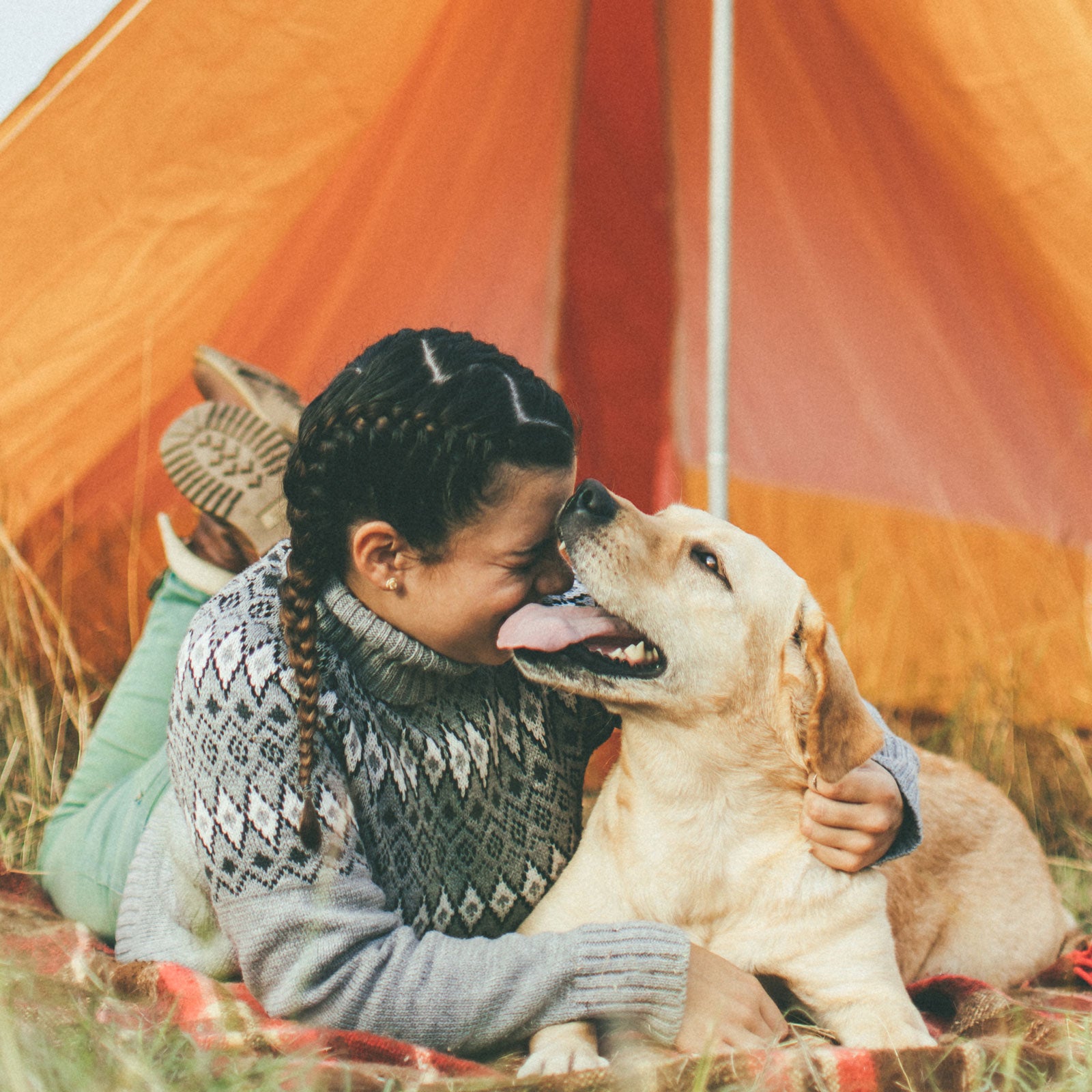 Gifts that your ourdoor adventure pooch will love (or at the very least, they’ll enjoy destroying the wrapping paper).