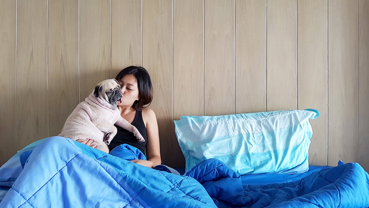 Dogs Are Bad at Sharing Beds Outside Online