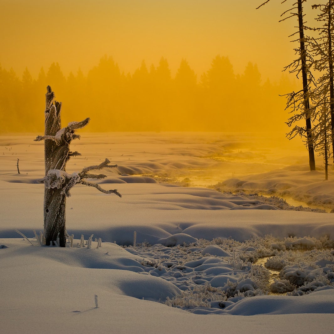 Yellowstone in winter is full of surprises. This beatutiful location was just off the road at sunrise between Old Faithful and Madison Junction.