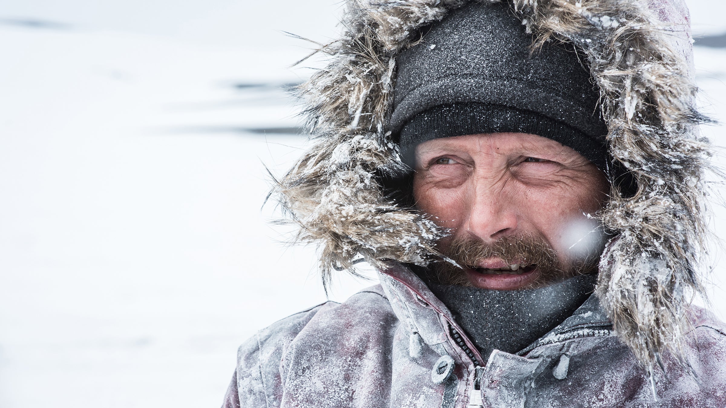ayers polar jacket