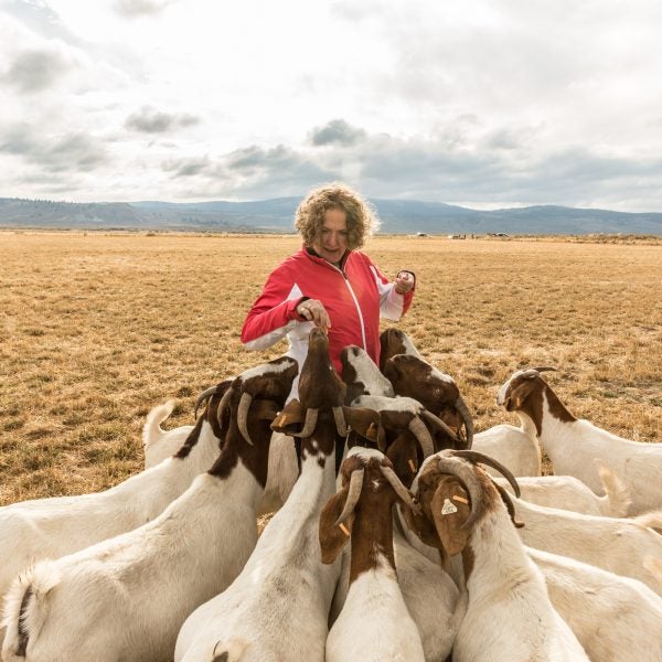 Goat meat: It's good for you, good for the planet, and it's delicious.