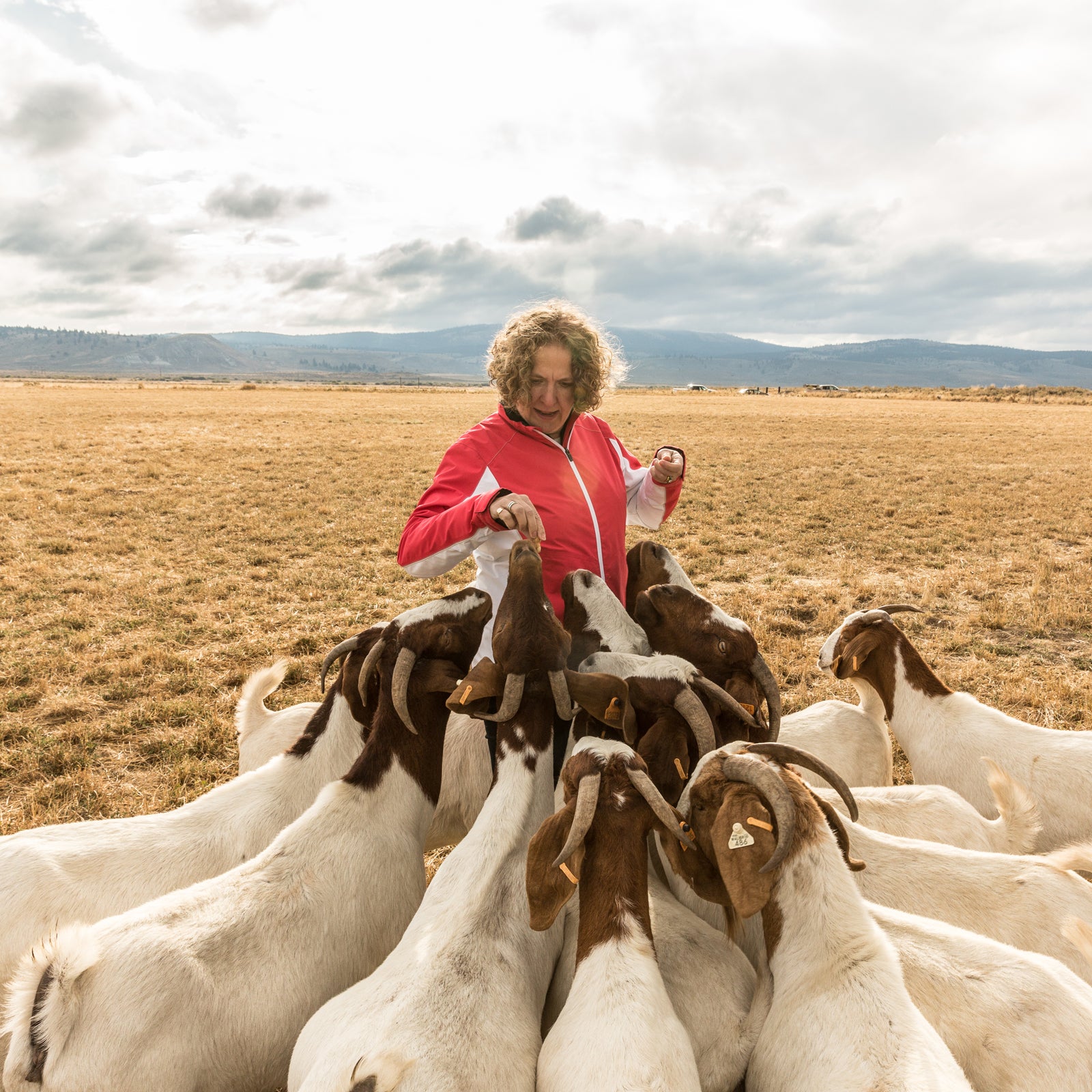 Goat meat: It's good for you, good for the planet, and it's delicious.