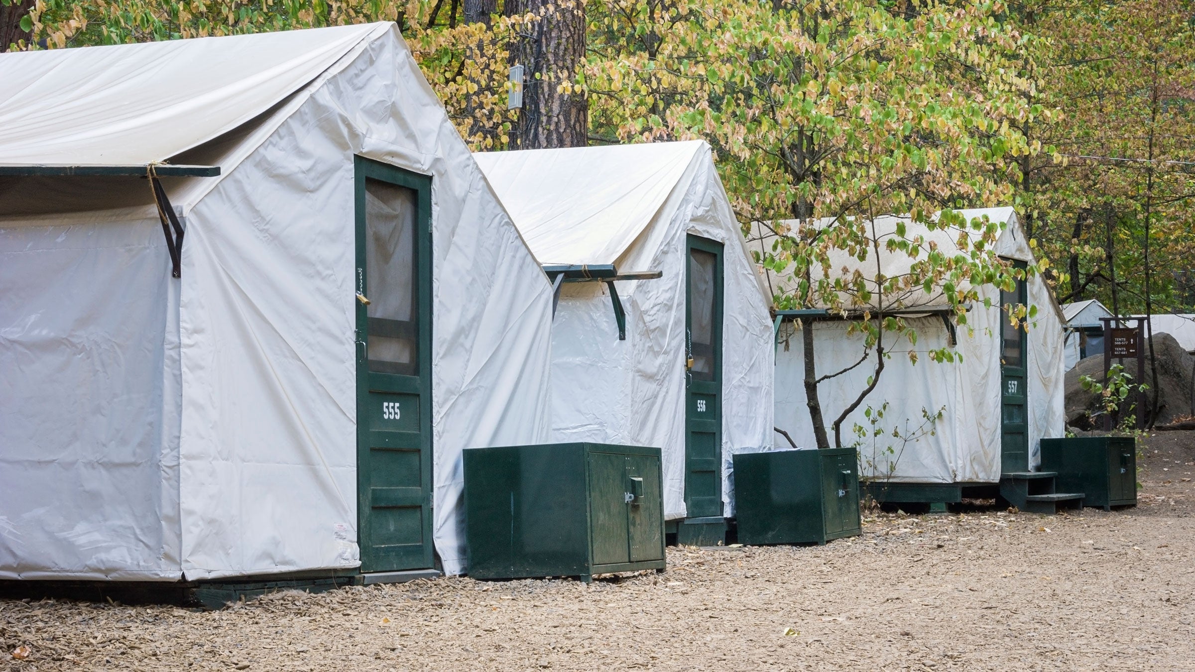 Curry Village tent cabins in Yosemite National Park.