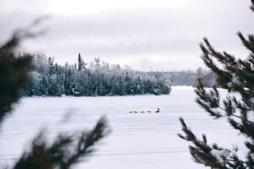 A frosty, serene landscape frames an iconic moment during the Gunflint Mail Run Sled Dog Race.