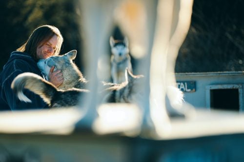 Blake Freking takes time to interact and engage with all the huskies. It is incredible to witness the connection the Frekings have with each dog.