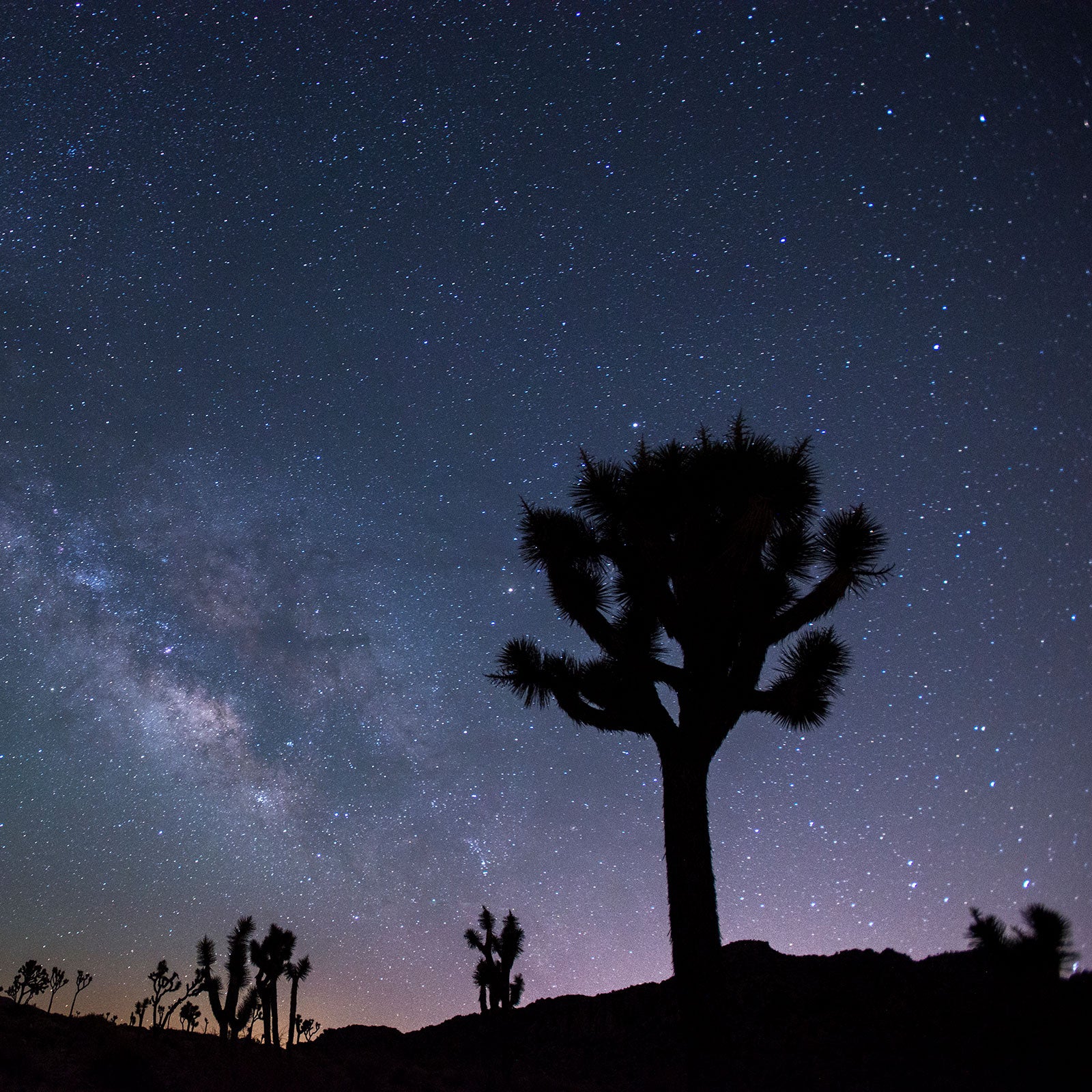 You'll want to save these ten hikes for after the sun goes down.