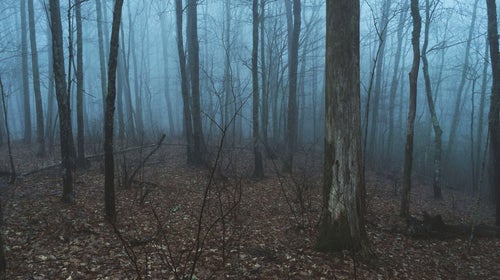 Eric Rudolph supposedly spent years living as a fugitive in the woods in western North Carolina. Was that really possible?