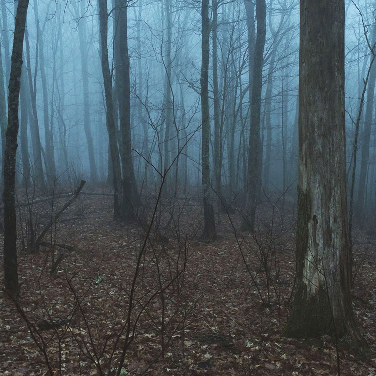 Eric Rudolph supposedly spent years living as a fugitive in the woods in western North Carolina. Was that really possible?