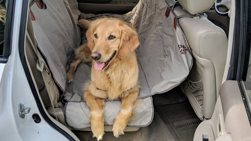 A hammock like this one is a no-brainer given how easy it is to install and how well it protects your upholstery. Once ours gets dirty after too many hikes or camping trips, we just take it out and throw it in the washing machine.