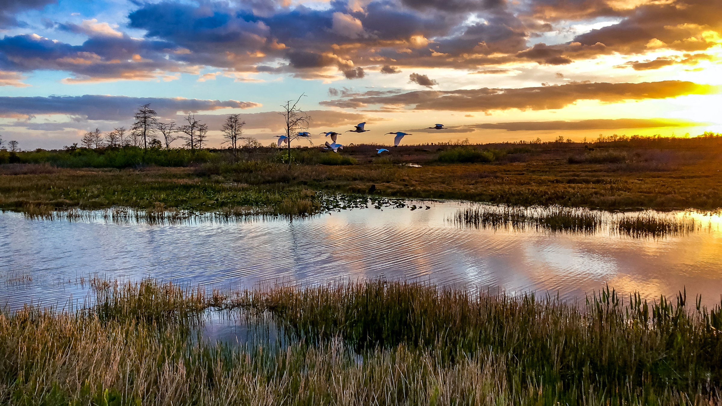 Everglades National Park Florida