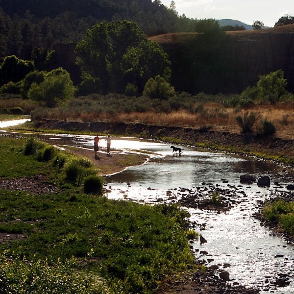 A dog plays in the Gila River as two people look on. The river's flow is lower than usual, and the snowpack feeding it is expected to be gone by mid-century.