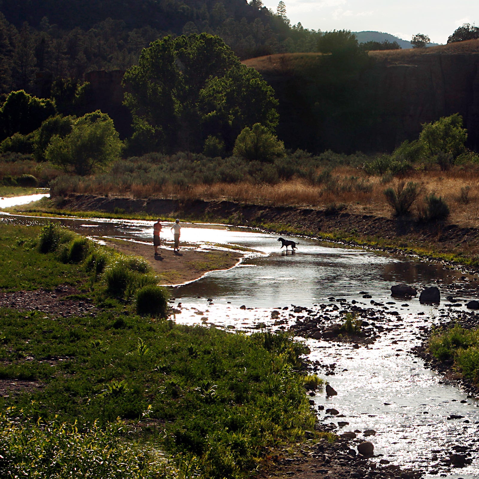 A dog plays in the Gila River as two people look on. The river's flow is lower than usual, and the snowpack feeding it is expected to be gone by mid-century.