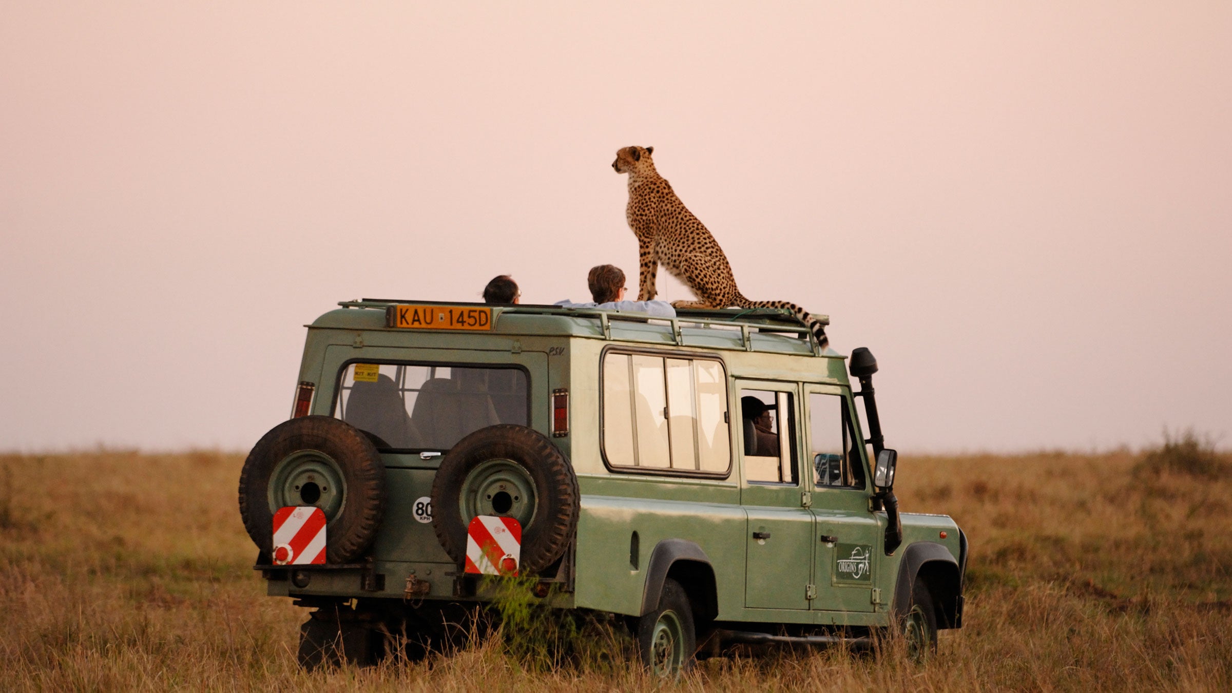 Planning a trip with the help of a travel adviser could reduce time spent wondering what to do next, save you money, and offer some amazing experiences you won't find elsewhere.
