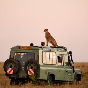 Planning a trip with the help of a travel adviser could reduce time spent wondering what to do next, save you money, and offer some amazing experiences you won't find elsewhere.