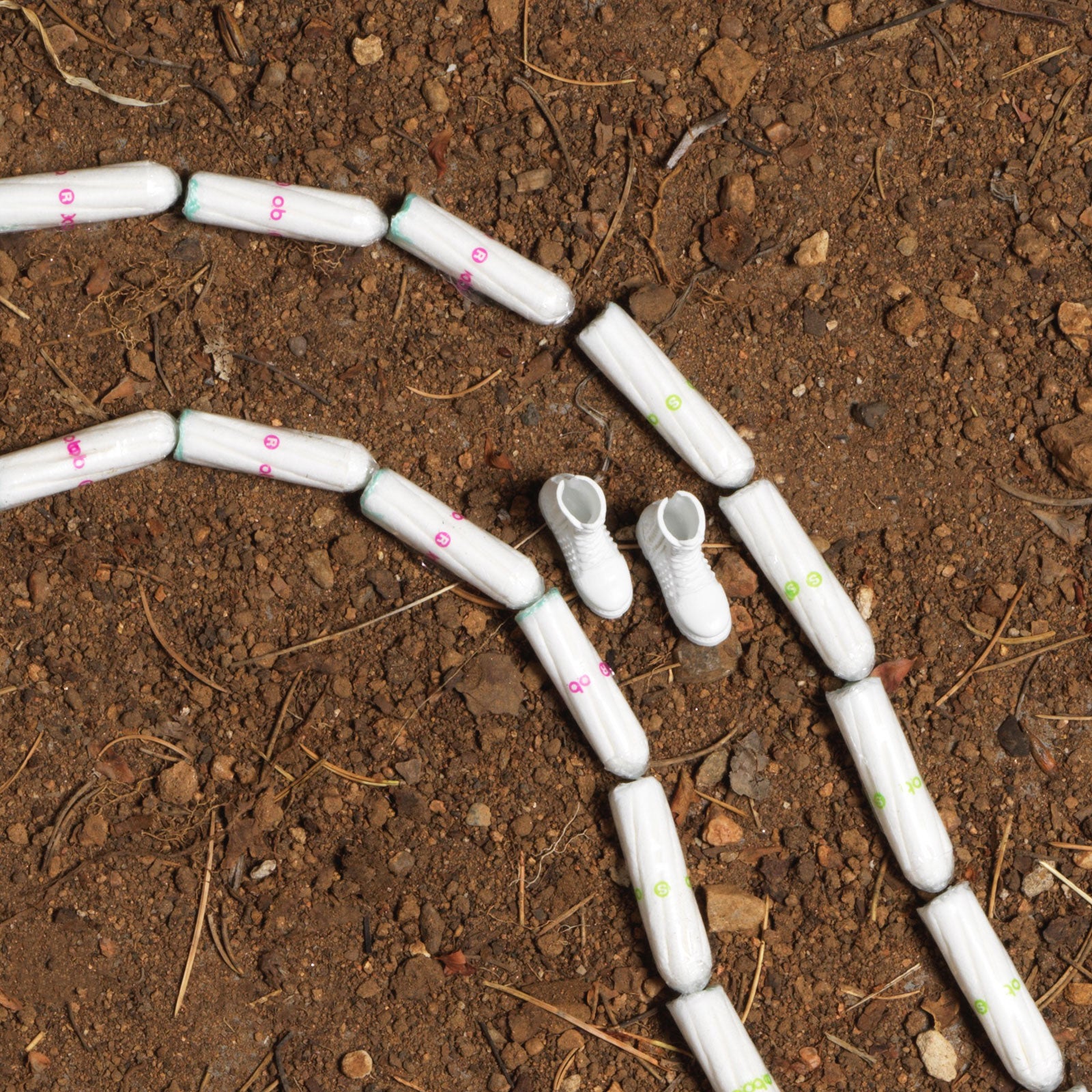 Going outside inevitably causes an impact on the environment, from those who leave just footsteps, as Leave No Trace (LNT) would suggest, to those who treat nature as their personal trash can or compost pile.