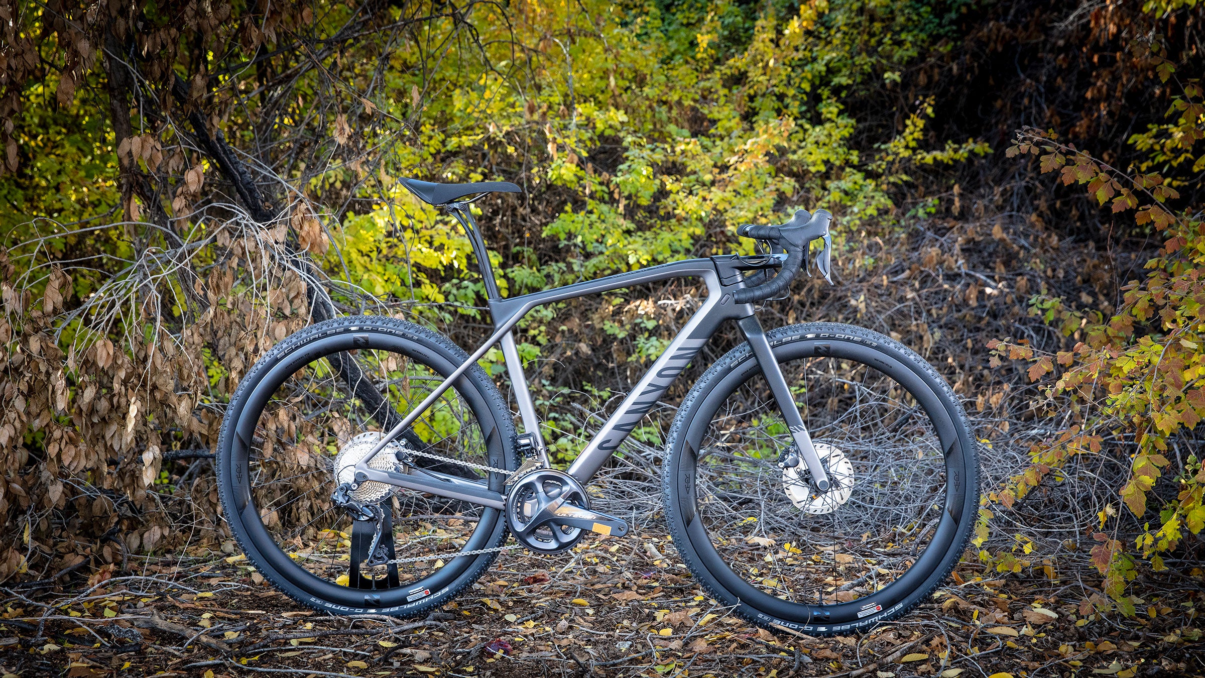 gravel bike go sport