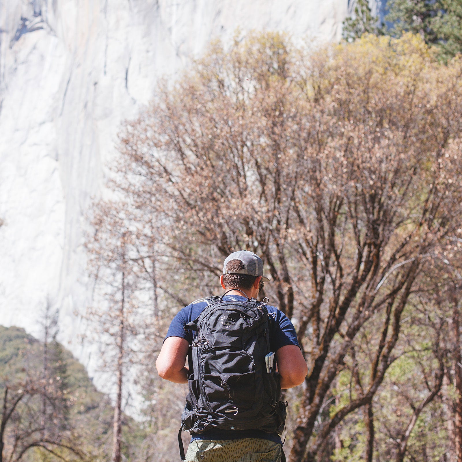 The best daypacks for carrying gear, food, water... and diapers.