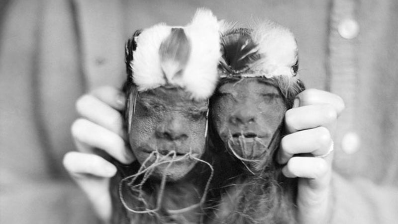 Gruesome rituals turned commercial—this is the story of why real human heads were shrunk for profit.