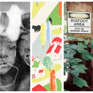 Outside’s weirdest stories range from shoe-trees to shrunken heads to bears invading towns