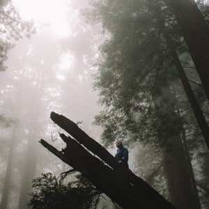 Marin Sardy's new book grapples with her family’s history of schizophrenia.