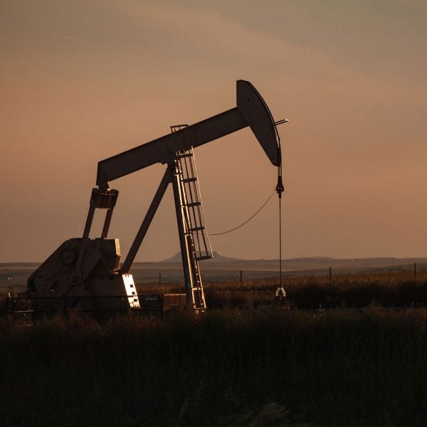 “This Land” wants no compromise in defense of Mother Nature. It is meant to incite.